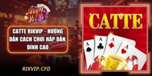 Catte Rikvip - Hướng Dẫn Cách Chơi Hấp Dẫn, Đỉnh Cao